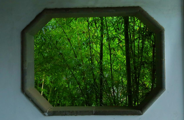 一步一景皆诗意！南京这座公园处处有中式美学