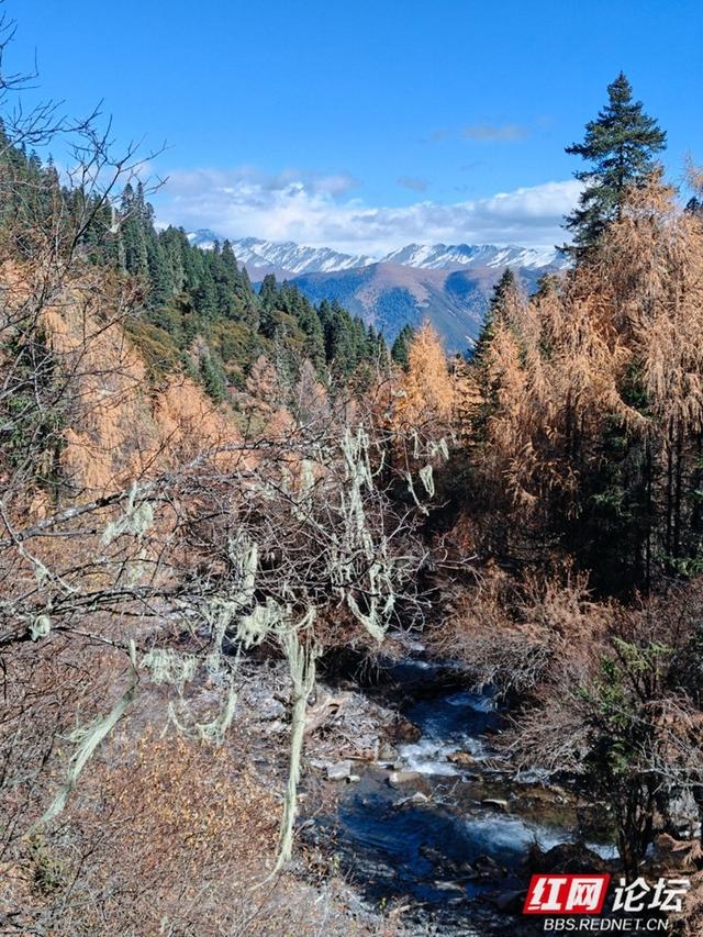 岁暖时刻丨玛嘉沟印记：从腿酸到心暖的高海拔之旅