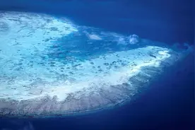 年度记忆·沸腾的海洋②｜珊瑚白化危机：海底的“褪色警告”图片