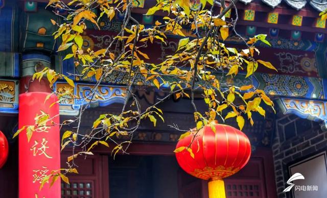 组图丨泰山脚下王母池：红墙映蜡梅 寒香醉冬阳