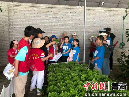 三江源生态保护基金会组织青少年开启暑期生态探索之旅