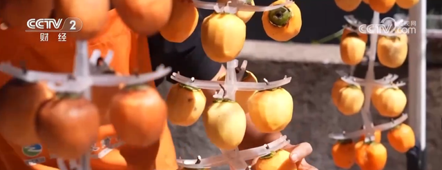 “田园风光+潮流玩法”成文旅融合新亮点 乡村旅游新消费活力十足