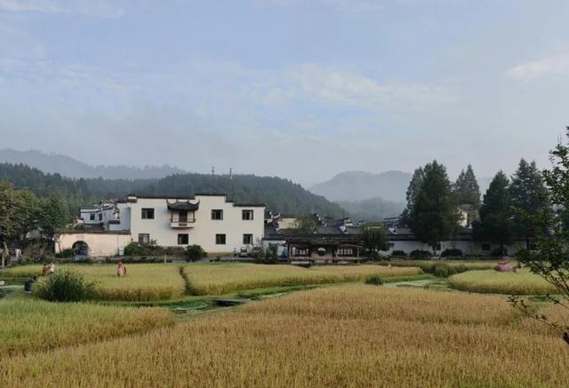 “百戏入皖”文化惠民活动彻底火了！