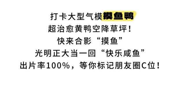 青睐绵阳 ‖ 全攻略！2025绵阳蝉躁草坪音乐派对！