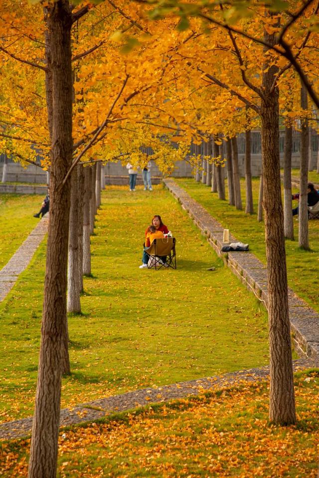 这里藏着最治愈的周末时光！