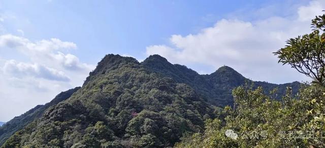 打卡丰顺尖笔岽！看狗探石奇观，瞰半山水库，一览三镇美景