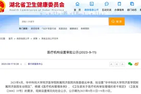 武汉三甲医院+1，在这个区图片