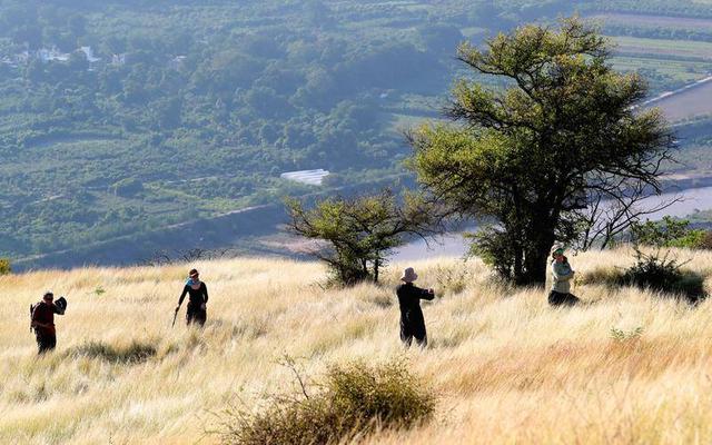 暖游玉溪元江体验“中国萨王纳”的旷野魅力