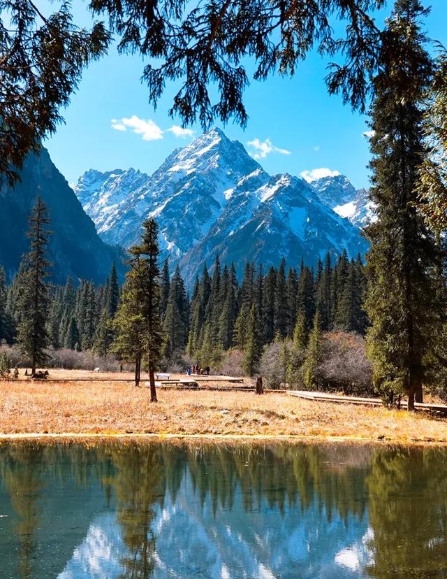 青睐绵阳 ‖ 雪山彩林上线！去平武王朗赴一场金秋视觉盛宴~