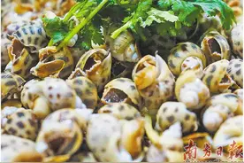 遂溪，怎一个“鲜”字了得图片