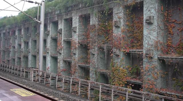 快冲！高铁峨眉山站旁藏着一处“秘境”，森系“魔法墙”超出片！