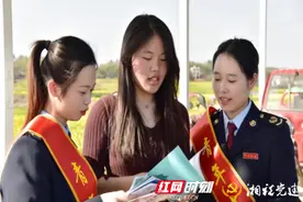 双峰税务：油菜花香飘万里 税惠春风入万家图片