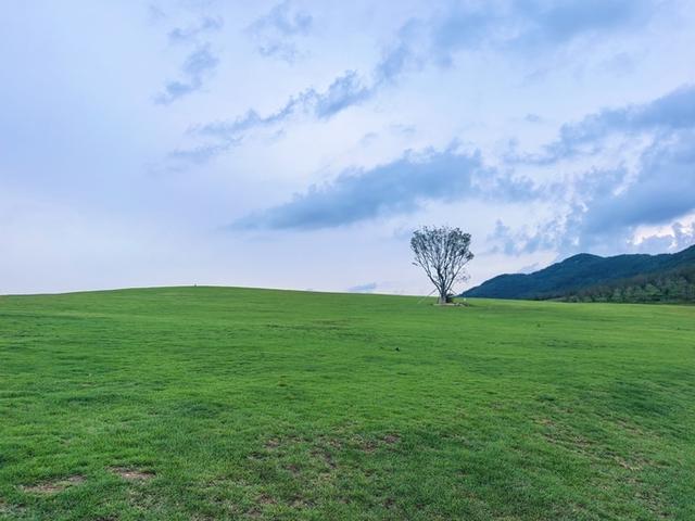 白鹭飞来白鹭湾，潮起日照展新篇