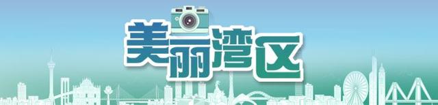 全运会倒计时！广州海珠湖这个打卡点萌翻了，速来打Call