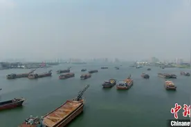 北江清远船闸年过货量突破5000万吨 “黄金水道”效能进一步释放图片