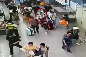 身上开个动物园？女子身藏20条活体动物入境被查图片