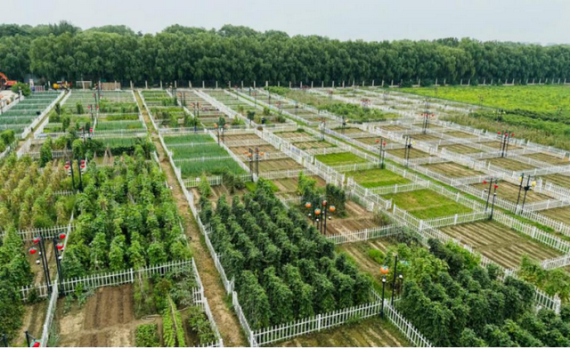 秋实累累 | 走！去丰台区佃起村打卡秋日限定美景！