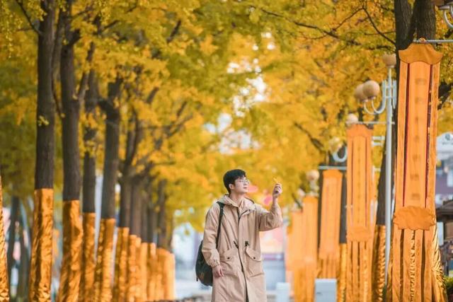 你手里的票根，又升值了！