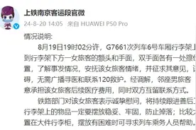 女子乘高铁被行李箱砸头崩溃大哭，官方发布情况说明→图片