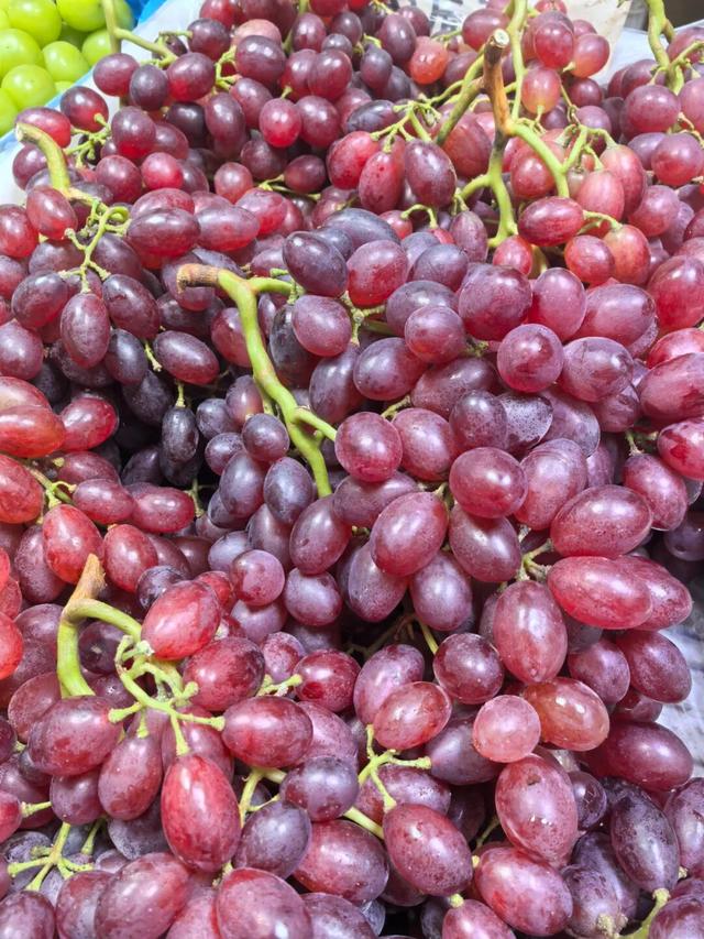 市北“拍了拍”你，抓住秋天的小尾巴