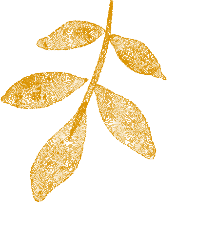 层林尽染赏秋时！宝山11月文旅活动清单，超多活动等你来打卡