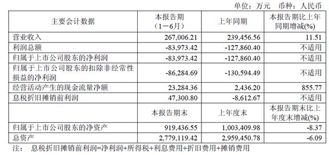 深天马、维信诺、创维数字、汇顶科技、全志科技等19家面板与显示芯片企业2025上半年财报一览