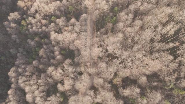 Hi走奉化① | 来栖霞坑，奔赴一场唐诗之路的千年约会吧！