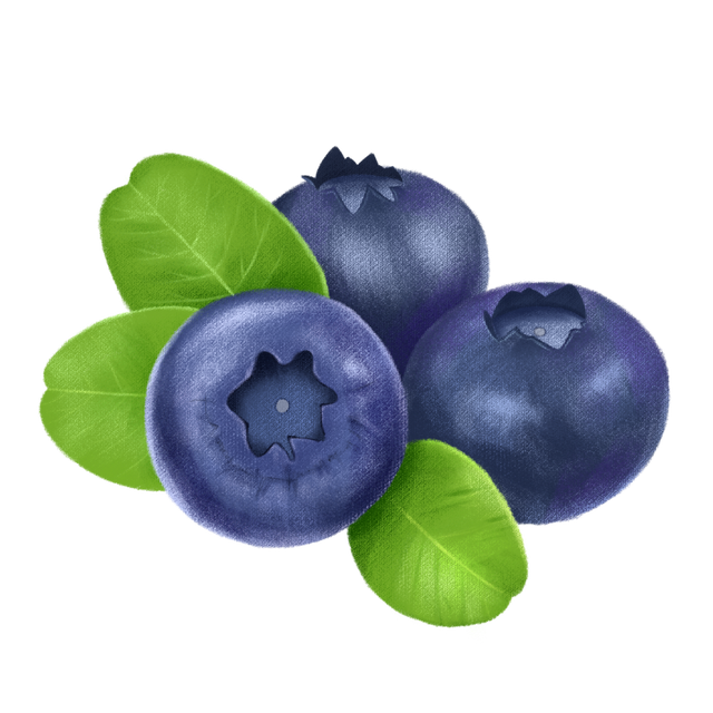 今个周六，一起到威整摘蓝莓！