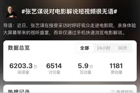 张艺谋很无语！电影解说这么干违法吗？图片