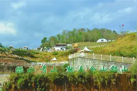 云南德宏特色产业促农增收助农致富图片