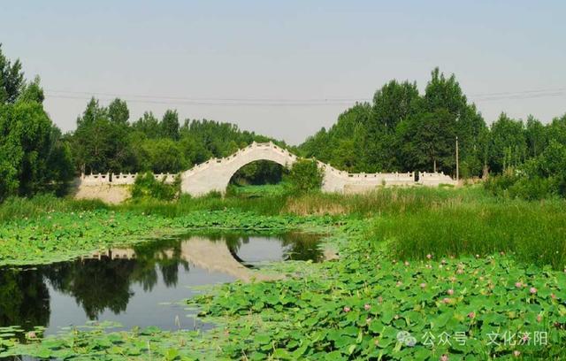 说说济阳“新”八景