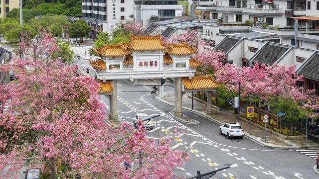 世界珍稀温泉牵手多元业态，广州从化打造“泉·养·游”融合新高地