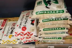 日本1月大米平均批发价同比上涨近七成图片