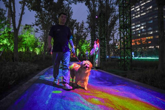 打造沉浸式夜游新体验，上海国际光影节普陀分会场启幕