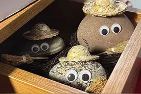 石头成了新宠物？其实是年轻人想善待自己图片