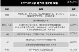 2025年，新势力拜师“迪小华”图片