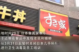 果然视频·看天下|餐品出现老鼠、蟑螂，日本连锁巨头暂时闭店图片