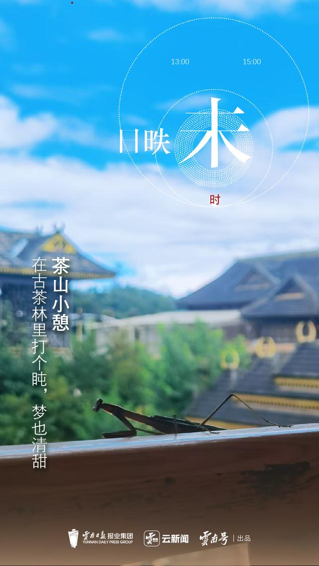 云新闻策划丨景迈山十二时辰：山中无历，茶语为时
