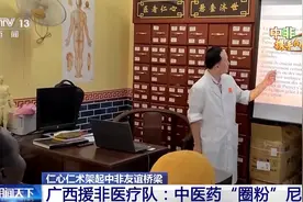 针灸、推拿……558天援外医疗 他们让中医药“圈粉”尼日尔图片