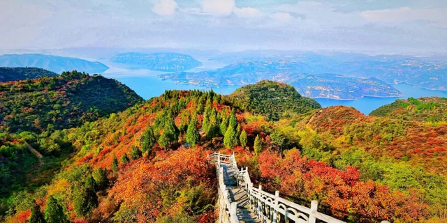 亮相央视！洛阳这些赏秋地，太美！