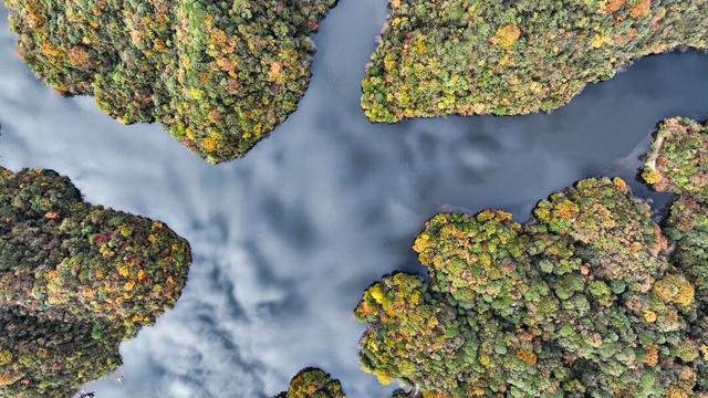 北纬28°的彩色秘境 贵州绥阳宽阔水国家级自然保护区初冬层林尽染