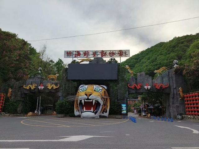 “双节”洛阳文旅放大招！免票、半价、折扣齐上阵