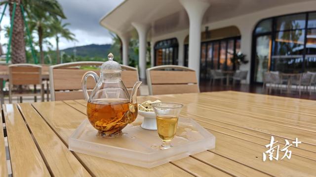 横琴宝藏河岸生活：日茶夜酒，还能邂逅“食神”同款