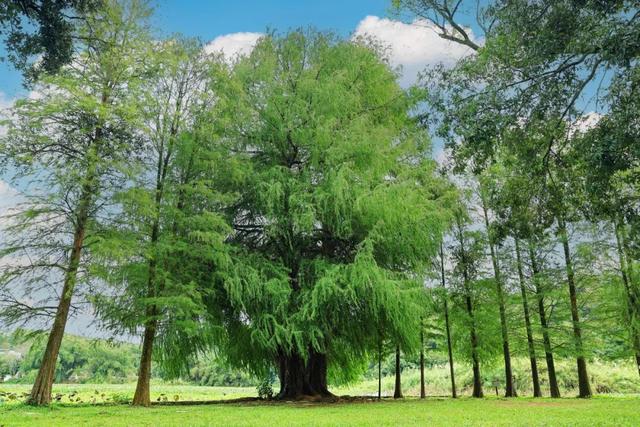 勇敢者的游戏！丛林穿越大冒险，真人CS对抗战免费玩！就在这里→