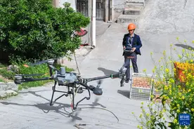 图片故事丨湖北秭归：脐橙“飞”上天图片