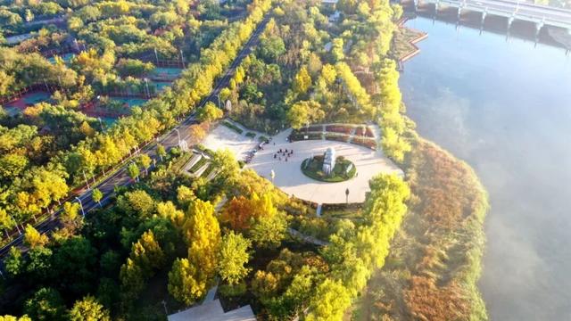 不必远行！邢台街头巷尾的彩叶之约等你赴会