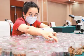 传承岐黄之术 夯实国医之基（大健康观察）图片