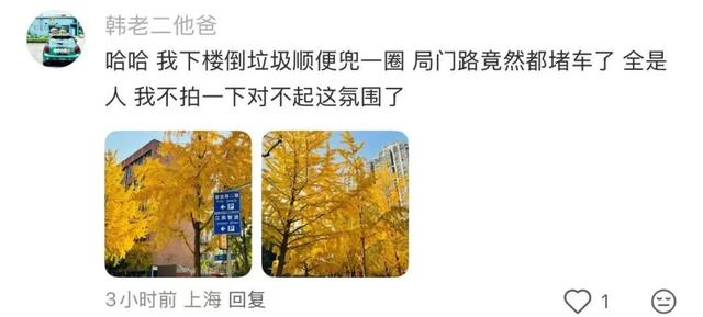 "全上海人都来了吧…"今天这条路什么情况？大堵车！还有30万人抢破头↗