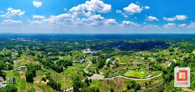春天就要上茶山！来荣县，饮一口最早的春日鲜醇