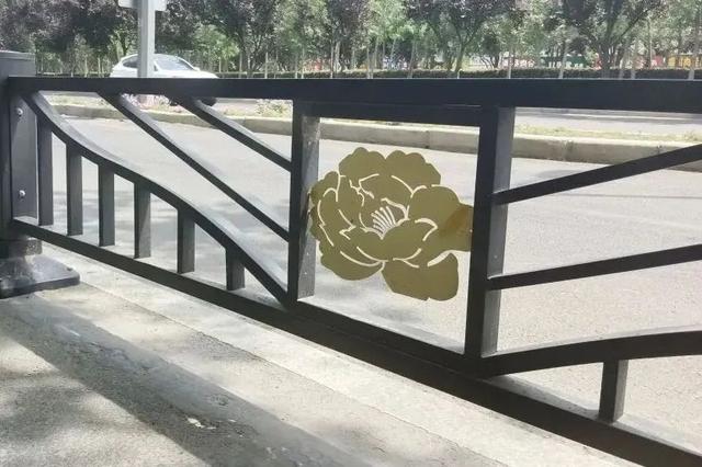 起猛了，我在洛阳被「牡丹」包围了！